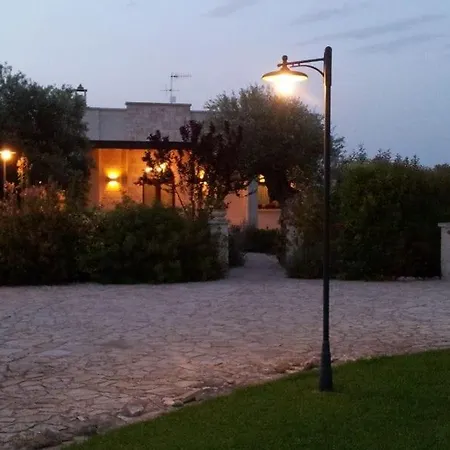 The Centuries Olive Trees *