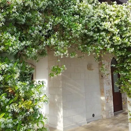 Villa The Centuries Olive Trees